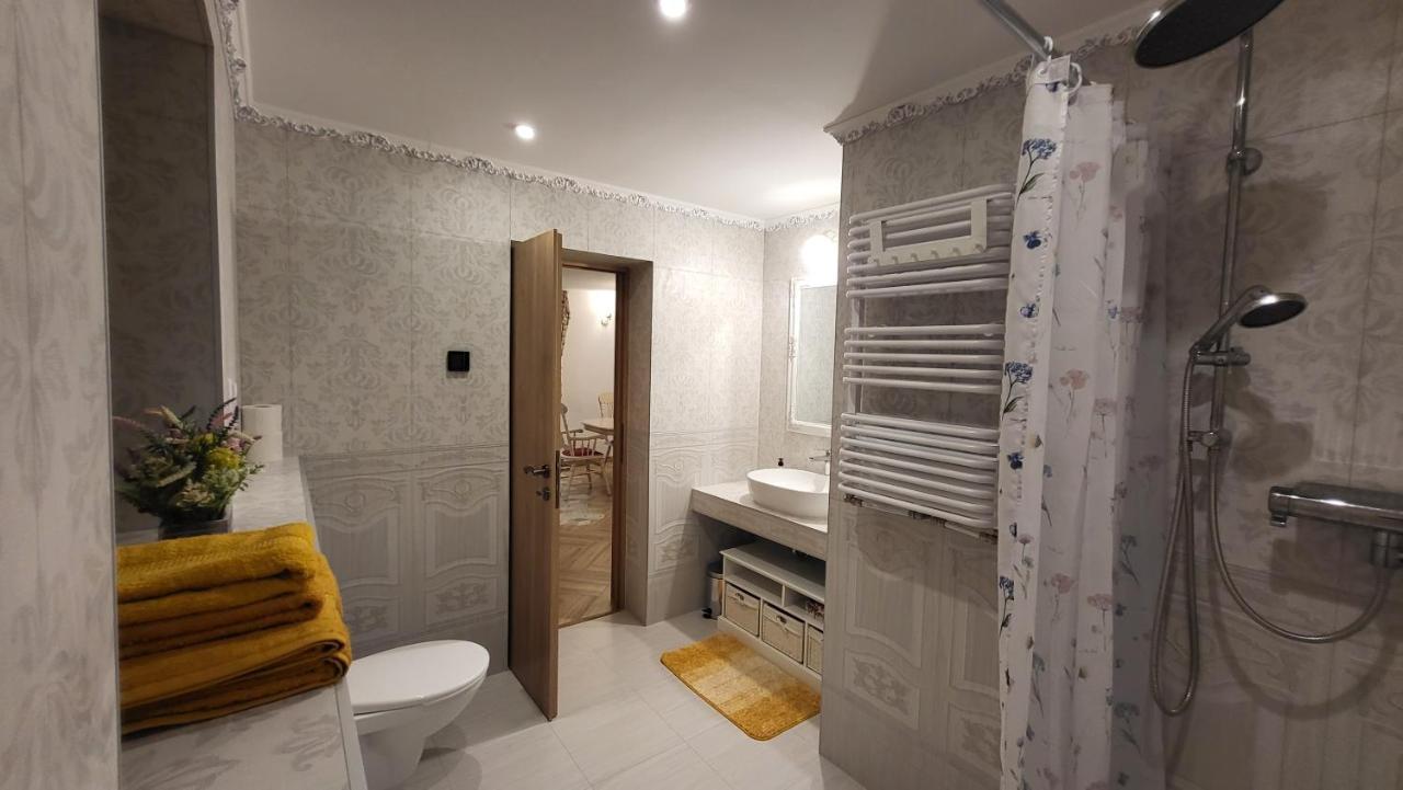 シギショアラ Casa Hetreaヴィラ エクステリア 写真