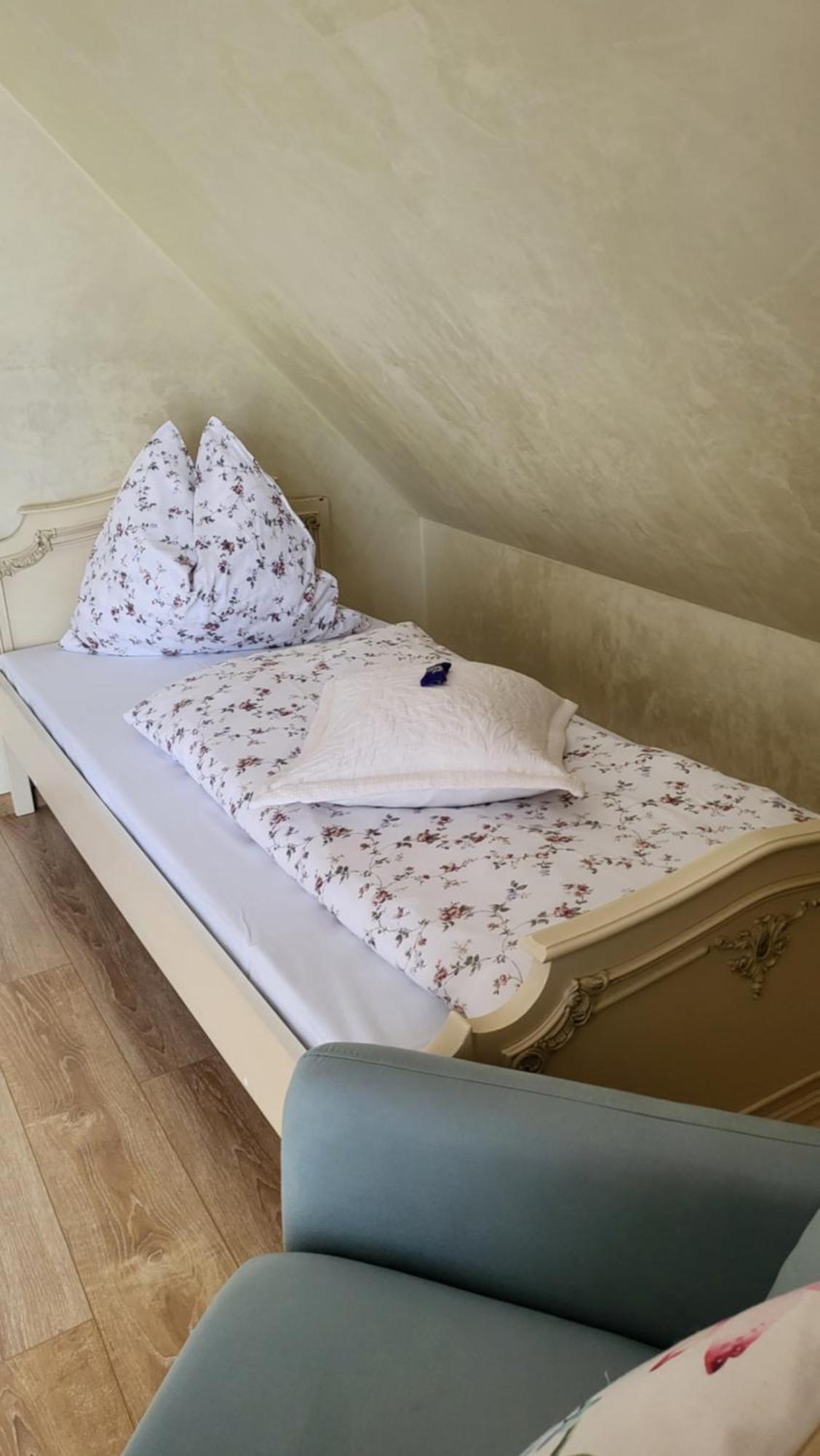 シギショアラ Casa Hetreaヴィラ エクステリア 写真